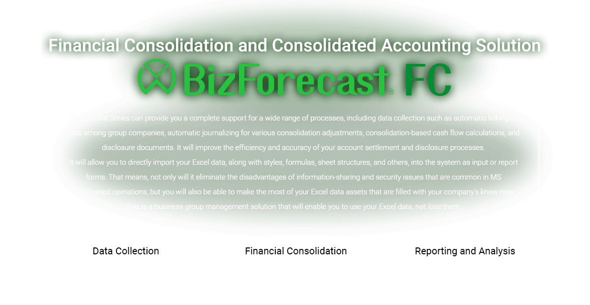 Financial Consolidation and Consolidated Accounting Solution BizForecast FC